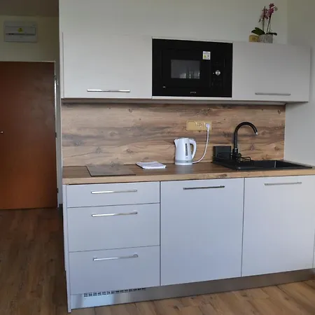 Benesovka Apartment Vacov